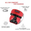 Comfort Fit No Pull Step-in Dog Harness – XS Harness