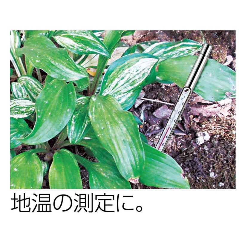 Shinwa Rules Cylindrical Thermometer