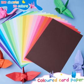 Henoyso 200 Sheet Construction Paper Bulk Assorted Colors Card Stock 9 x 12 Inch Art Classic Lightweight Paper DIY Craft for Kids Valentine's Day Classroom DIY Drawing Scrapbook Supplies, 20 Colors