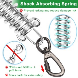 Tie Out Cable with Spring for Dogs,Long Dog Leash,Dog Runner for Yard Heavy Duty, Dog Chains for Outside, Sturdy Long Line Lead for Dogs Training Outdoor in Camping or Yard (Green,30ft)