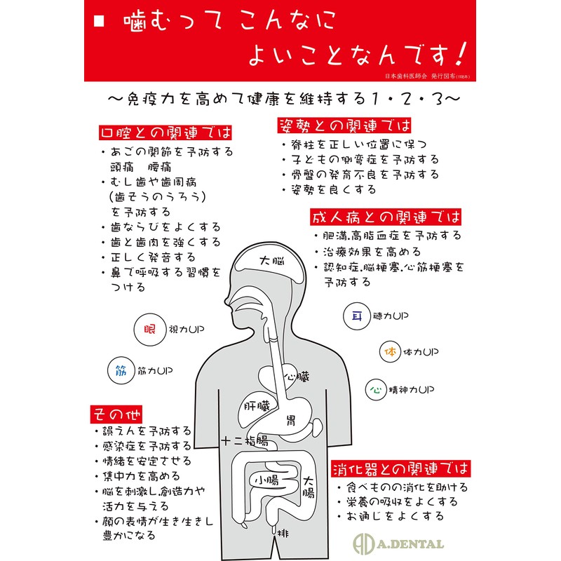 Edental Training Chewing Force (CamCam ST) Oral Exercise (Replacement)