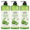 Caribbean Beach Large Capacity Aloe Soothing Gel, 1L, Pack of