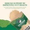 Organic Lion's Mane Powder 250g | Full-Spectrum Extract | Focus