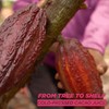Blue Stripes Cacao Water (Passion Fruit) - All-Natural, No Sugar