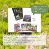 Magical Dogs Tarot [Special Box] [With Tarot Divination Manual]