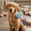 Cepillo para perros y gatos, peine de autolimpieza