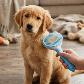 Cepillo para perros y gatos, peine de autolimpieza