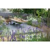 150 LAVENDER, LAVANDULA ANGUSTIFOLIA HIDCOTE PROMISE PERENNIAL FLOWER SEEDS