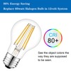 12 Volt Edison Bulb E26 12V LED Bulb Warm White