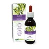 Olive (Olea europaea) Leaves Alcohol-Free Mother Tincture Naturalma | Liquid