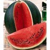 NIKA SEEDS - Seeds Watermelon Mix (Micky Lee, Yellow Doll,