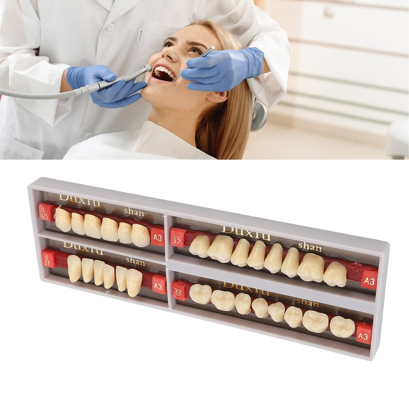 Dental Synthetic Resin Denture Tooth Professional Men Women Shade A3