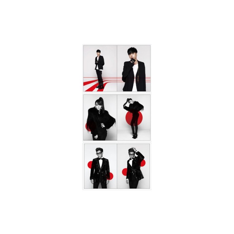 15TH Anniv.YG Family Concert Photo Book ☆ コンサートフォトブック