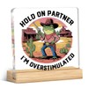 Funny Office Desk Decor Western Frog Cowboy Hold On Partner