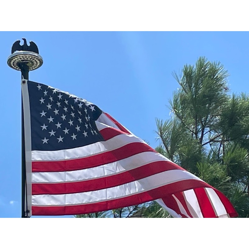 FRF FLAG Black Eagle Head for Decorating Outdoor Flagpoles, Made