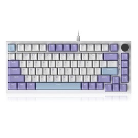 DAIDAI×AJAZZ AK820 75% Wired Gasket Mechanical Keyboard with Volume Knob - South Facing LED - Poron Foam - PBT Keycaps - Programmable RGB Hot Swap Keyboard