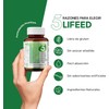 LIFEED Probióticos 50 Billones | Enzimas Digestivas, Fibra Natural, Vitamina