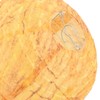 8 Pack Wasp Nest Decoy Effective Deterrence Hanging Fake Wasp