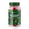 Multivitamin Gummies with Vitamin A,B,C,D,E, B6 B12, Biotin, Zinc |