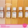 Sweet Sticks Edible Art Decorative Cake Paint 0.5 Ounce (15