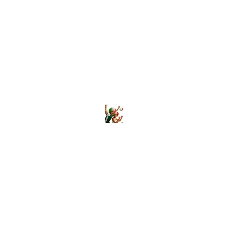 Pack 2 Pelucas Afro Tricolor | Ideal Para Carnaval Y