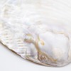 Aladdin Collection White Sage, 1.1 oz (30 g), White Sage,