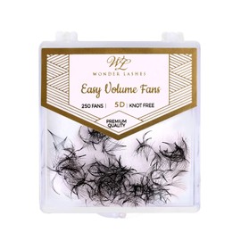 WL Wonder Lashes Fertige Wimpernfächer 5D für Professionell 0,07 250 Stück, C oder D Curl, Cat Eye oder Dramatische Effekt, Falsche Premium Volumen Wimpern für Wimpernverlängerung (C Curl, 11 mm)