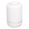 30ML Essential Oil Diffuser LED Aromatherapy Diffuser with Timer Silent
