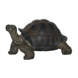 Pet Pal Baby Tortoise in Carrier