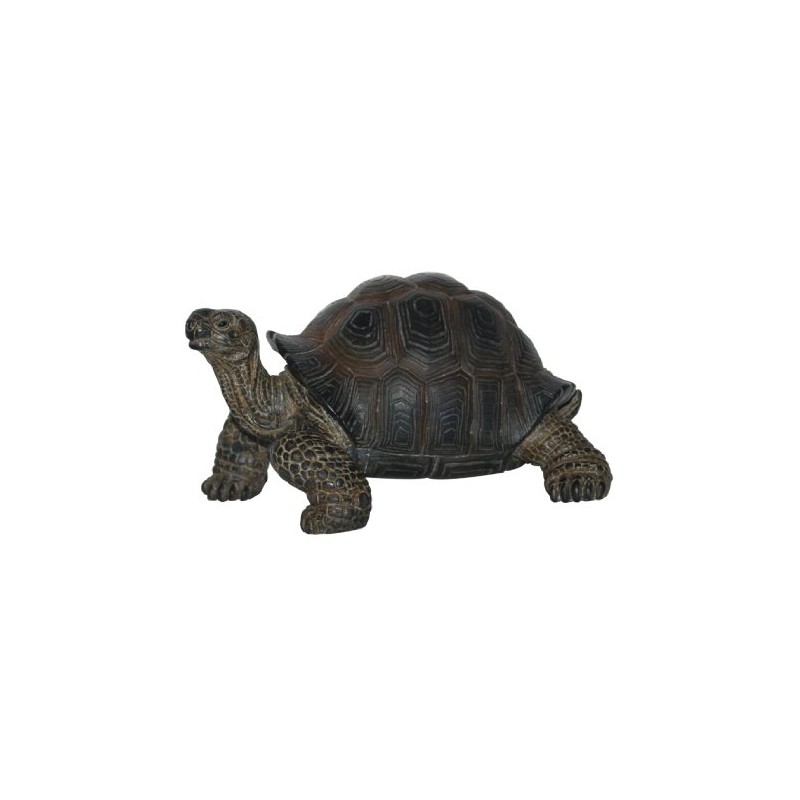 Pet Pal Baby Tortoise in Carrier