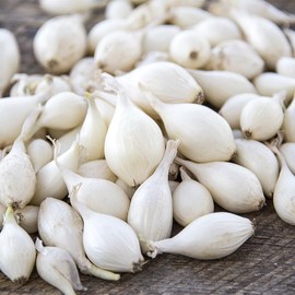 TomorrowSeeds - Snowball White Onion Sets (Bulbs) Seeds - 4 Pounds - Variable Set Sizes - for 2026 Planting Gardening Sweet Excellent Storage Noon Intermediate Day Neutral Onions Grow Your Own Home