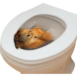 3D Squirrel Toilet Seat Sticker, Bathroom Lid Sticker Funny Lid Stickers Decor DIY Lid Home Toilet Accessories