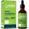 E2H Chlorophyll Liquid Drops - Natural Energy Booster, Immune System