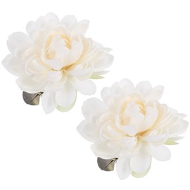 Accessories for curtain cords, 2 pieces, curtain tieback clips, curtain clip, curtain tieback, curtain ties for home office decoration (?) tiebacks for curtains