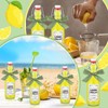 Teenyyou 8 Set Swing Top Glass Bottles for Limoncello Homemade