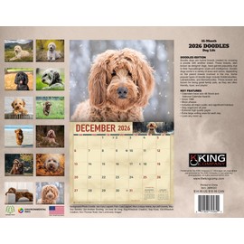 2026 Doodles Wall Calendar 16-Month X-Large Size 14x22, Goldendoodle, Labradoodle Calendar by The KING Company-Monster Calendars