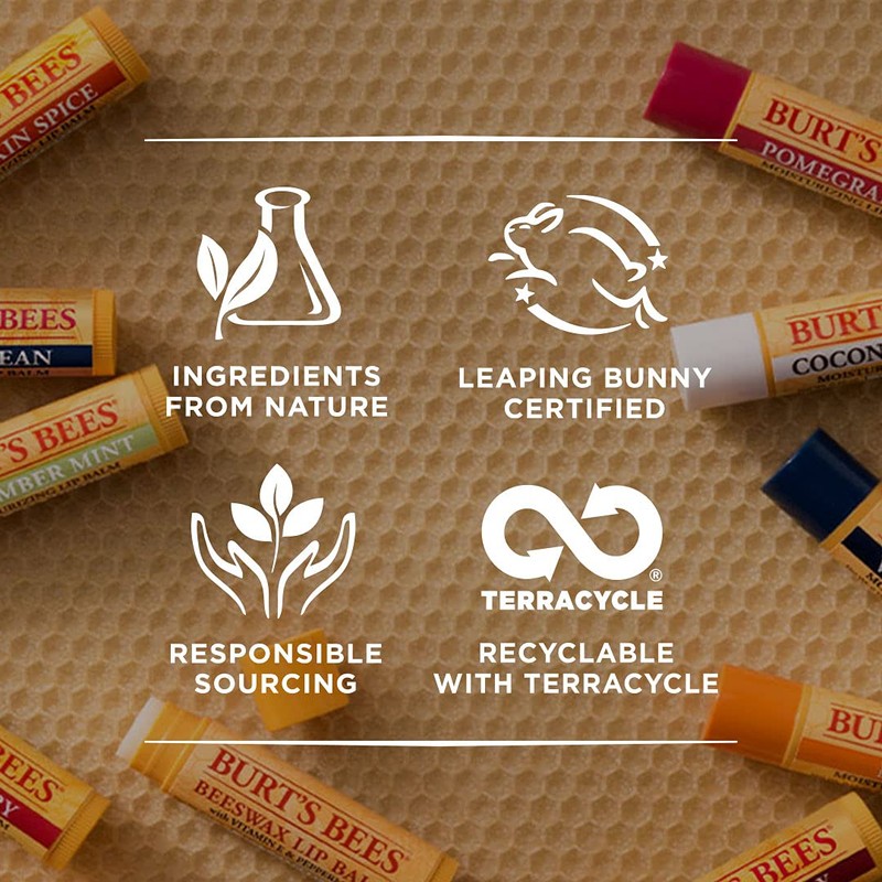 Burt's Bees® 100% Natural Moisturising Lip Balm, Odourless with Beeswax