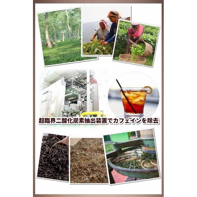 Bando Tea Decaffeinated Ginger Tea, 60 Tea Bags