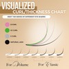LASHVIEW Eyelash Extensions, C Curl 8-15mm Mixed 0.15 Classic Lashes,