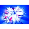 Storefront LED Light, 20ft Blue Windows Border Light for Retail
