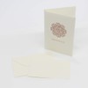 Medioevale Medium Card Portfolio Set, Deckled Edge Cards with Envelopes