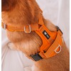 Foxys® CountryFox™ Pro Ergonomic Dog Harness, Heavy Duty, Padded, Lightweight