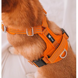 Foxys® CountryFox™ Pro Ergonomic Dog Harness, Heavy Duty, Padded, Lightweight and Adjustable (Orange, Medium)