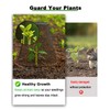 vensovo 12 Pcs Chicken Wire Cloche Plant Covers, 9 inch
