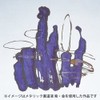 呉竹(Kuretake) 墨汁 メタリック書道液金50mlBB101-5