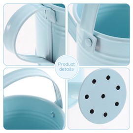 Ipetboom Kids Watering Can Metal - 2pcs Creative Watering Tin Watering Pot Durable Iron Sprinkling Kettle - Portable Can for Plants Flower (Random Color)
