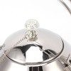 Stainless Steel Teapot Large Capacity Stovetop Kettle with Filter for