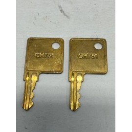 GILBARCO CH751 CRIND DOOR KEYS…. GENUINE OEM …NEW-Set of two!