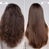 Philip Kingsley Elasticizer Pre Shampoo Treatment 150ml