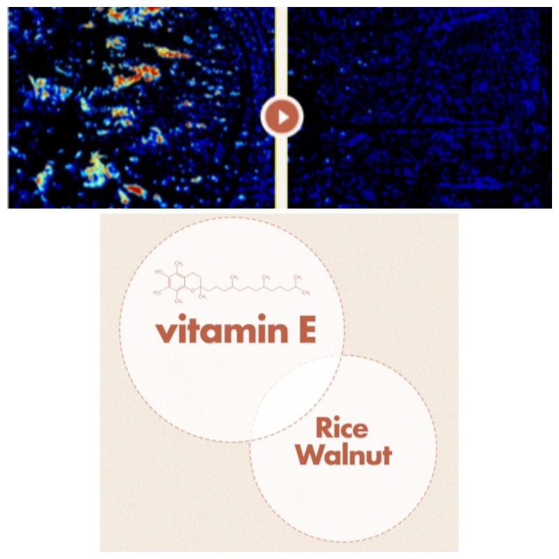 The Face Shop Vitamin A Lip Mask 14g, Shade:Vitamin E